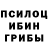Псилоцибиновые грибы прущие грибы zarina ri