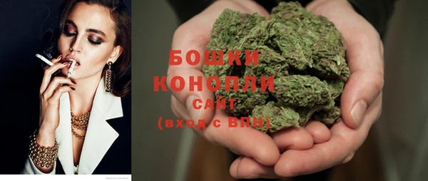 ПСИЛОЦИБИНОВЫЕ ГРИБЫ Лиски