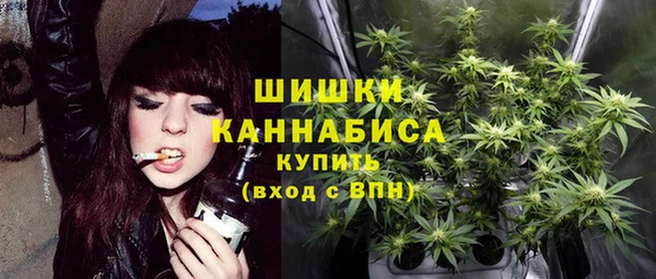 ПСИЛОЦИБИНОВЫЕ ГРИБЫ Лиски