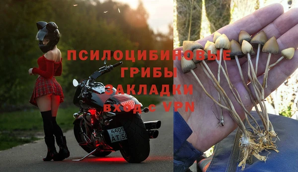 прущая мука Магас