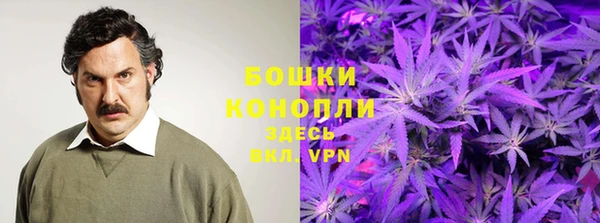 ПСИЛОЦИБИНОВЫЕ ГРИБЫ Лиски