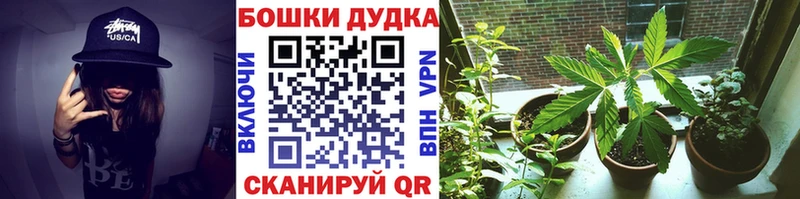 купить наркоту  Лихославль  Марихуана семена 